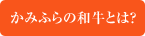 かみふらの和牛とは？