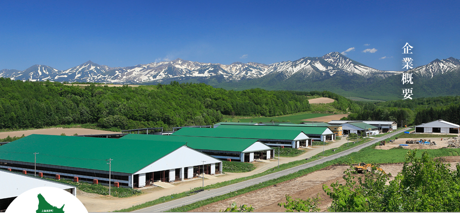 企業概要